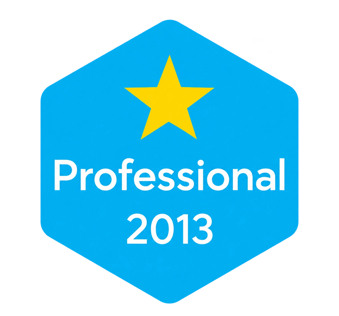 Professional 2013